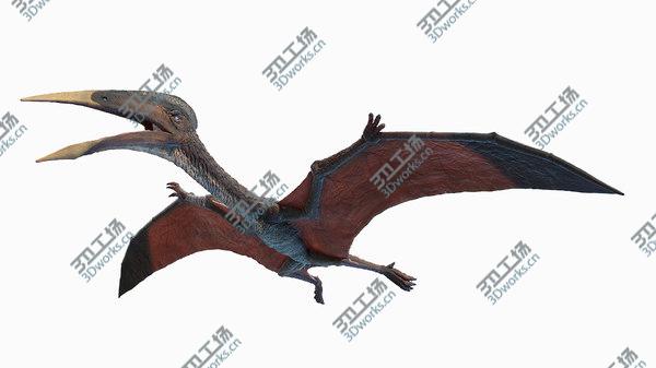 images/goods_img/20210312/Hatzegopteryx 3D model/1.jpg
